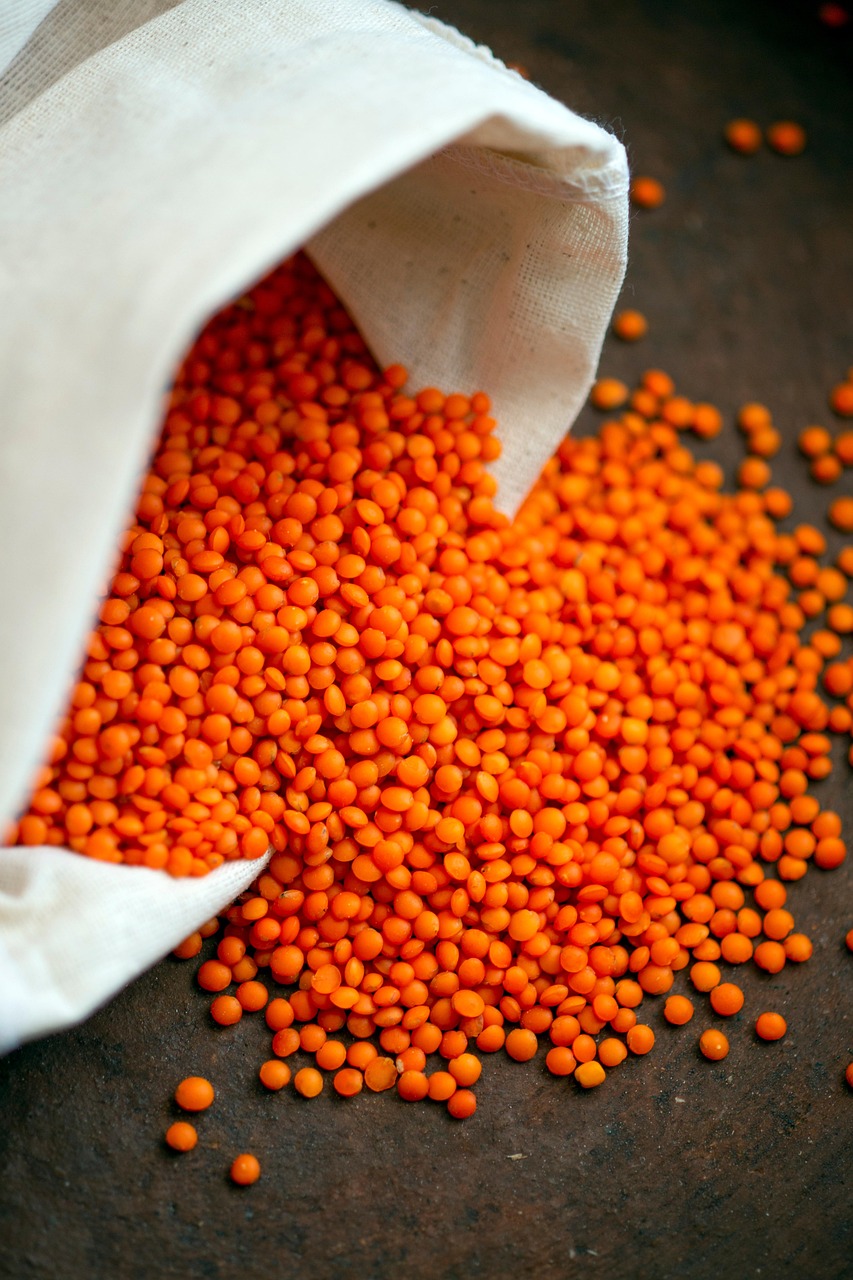 entdecken sie die vorteile des veganismus: gesunde ernährung, tierschutz und nachhaltigkeit. erfahren sie alles über vegane lebensweise, rezepte und nützliche tipps für ihren alltag.